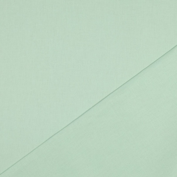 Canvas uni mint